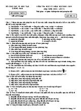 Đề kiểm tra học kì I môn Sinh học Lớp 12 - Mã đề 413 - Năm học 2018-2019 - Sở giáo dục và đào tạo Quảng Nam